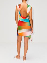 Nisha Sun Ray Print Dress