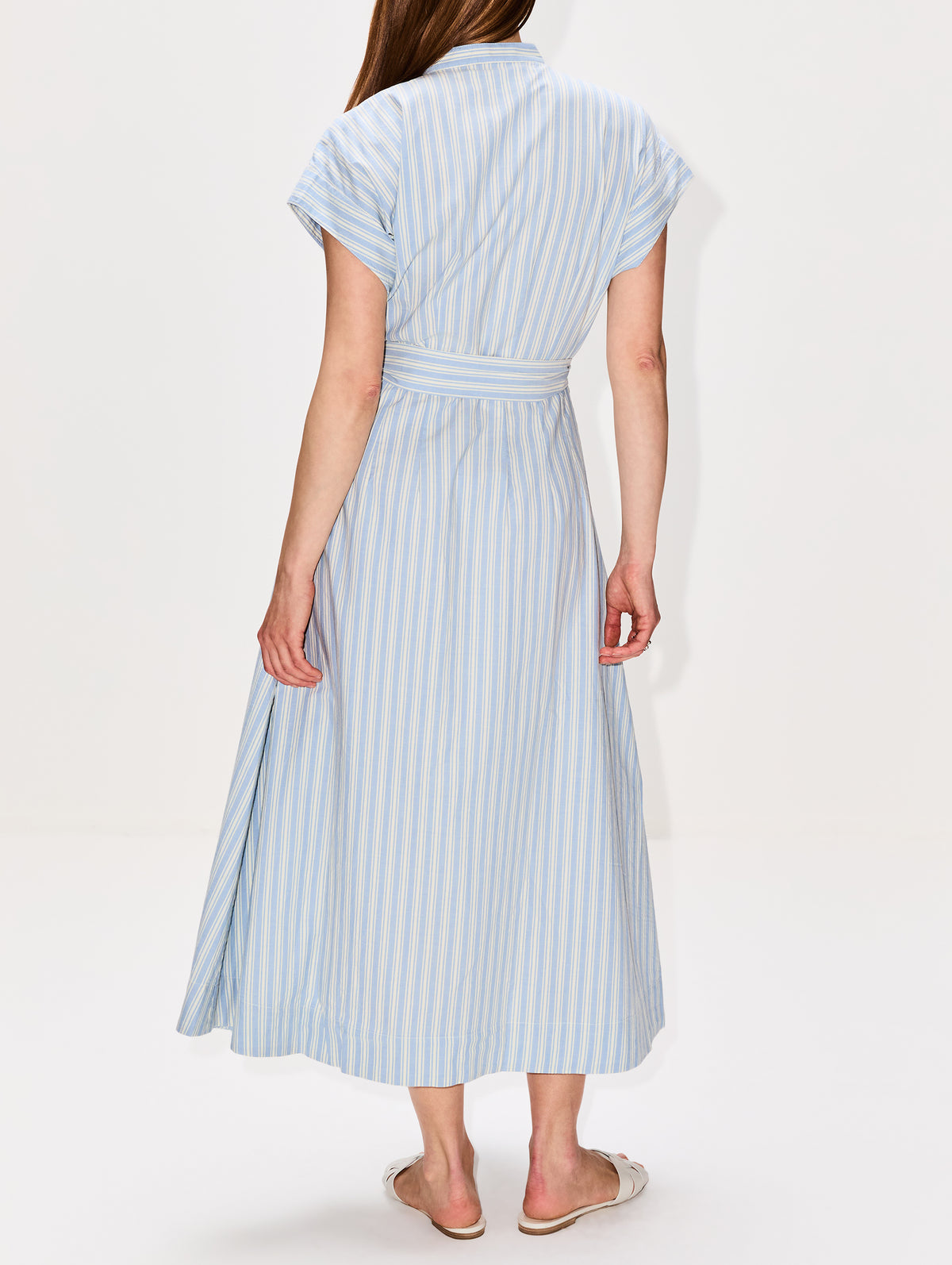 James Dress,BIRDS OF PARADIS BY TROVATA,BLUE OXFORD STRIPE,Image 4