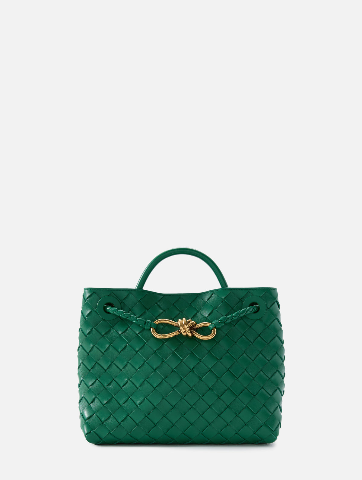 Small Andiamo Bag,BOTTEGA VENETA,JUNGLE,Image 1