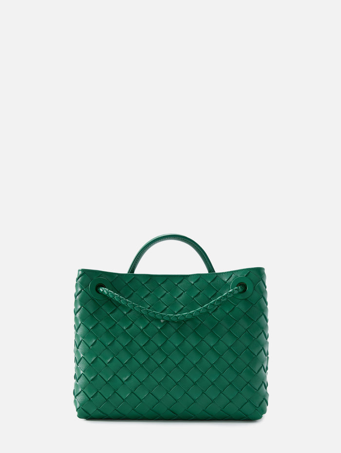 Small Andiamo Bag,BOTTEGA VENETA,JUNGLE,Image 1