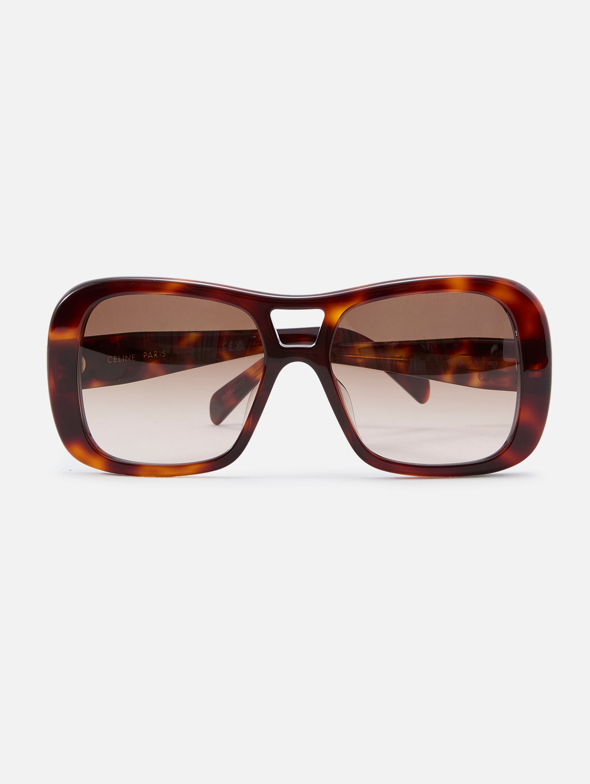 Triomphe Oversized Sunglasses | CELINE EYEWEAR | elysewalker