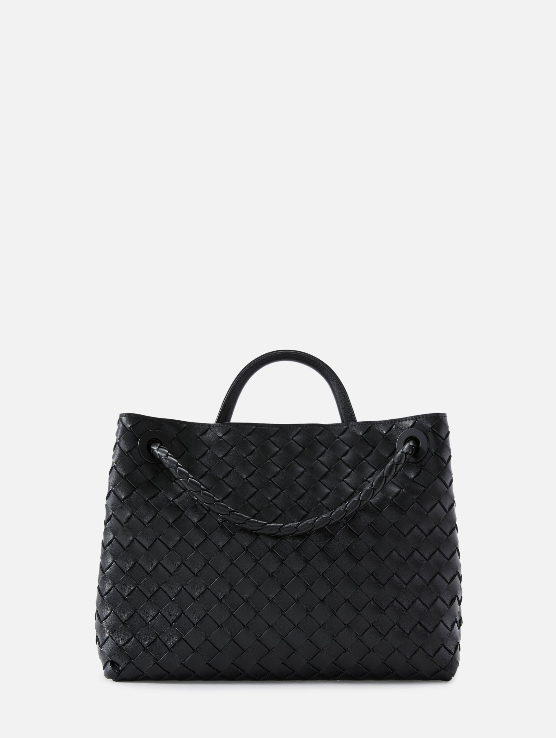 Medium Andiamo Bag | BOTTEGA VENETA | elysewalker