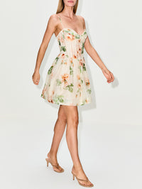 Carousel Corset Mini Dress,ZIMMERMANN,CREAM ROSE,Image 3